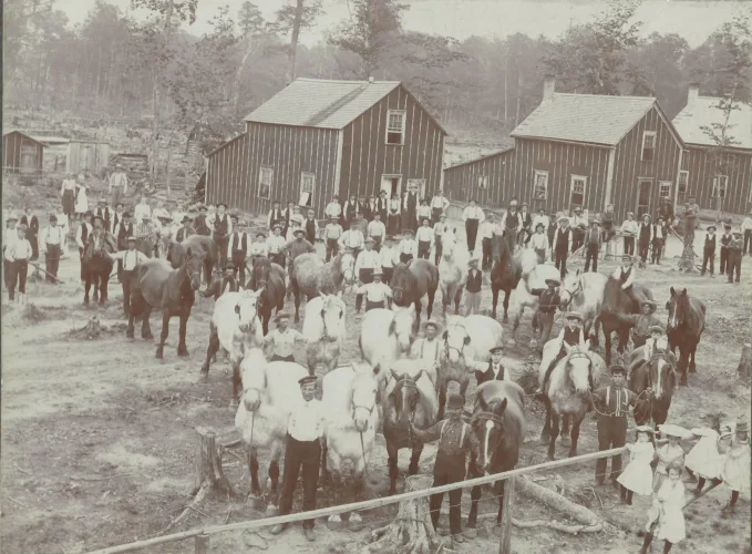 Life in early logging camps